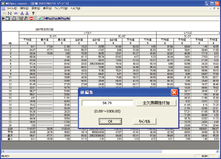 MSRpro-Report画面