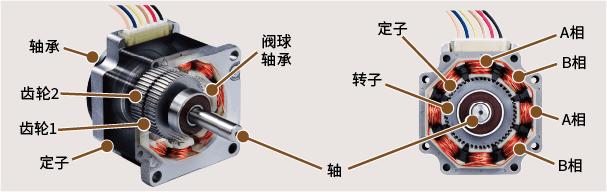 步进电机的结构