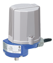 MRP4