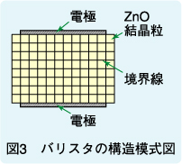 図3　バリスタの構造模式図