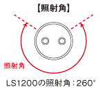 照射角 解説図