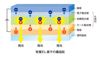 有機EL素子の構造図