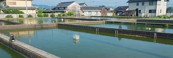 養殖場の監視