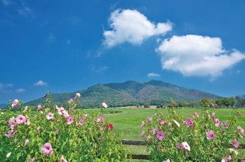 蒜山高原