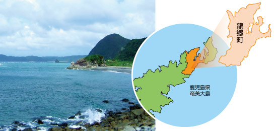 鹿児島県龍郷町