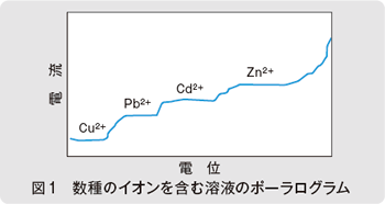 図1　数種のイオンを含む溶液のポーラログラム