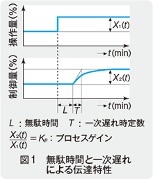 図1　無駄時間と一次遅れによる伝達特性