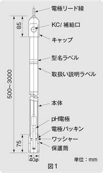 図1