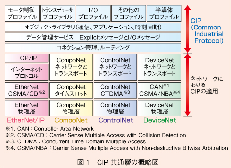 図1 CIP共通層の概略図