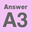 A3