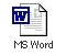 MS Word