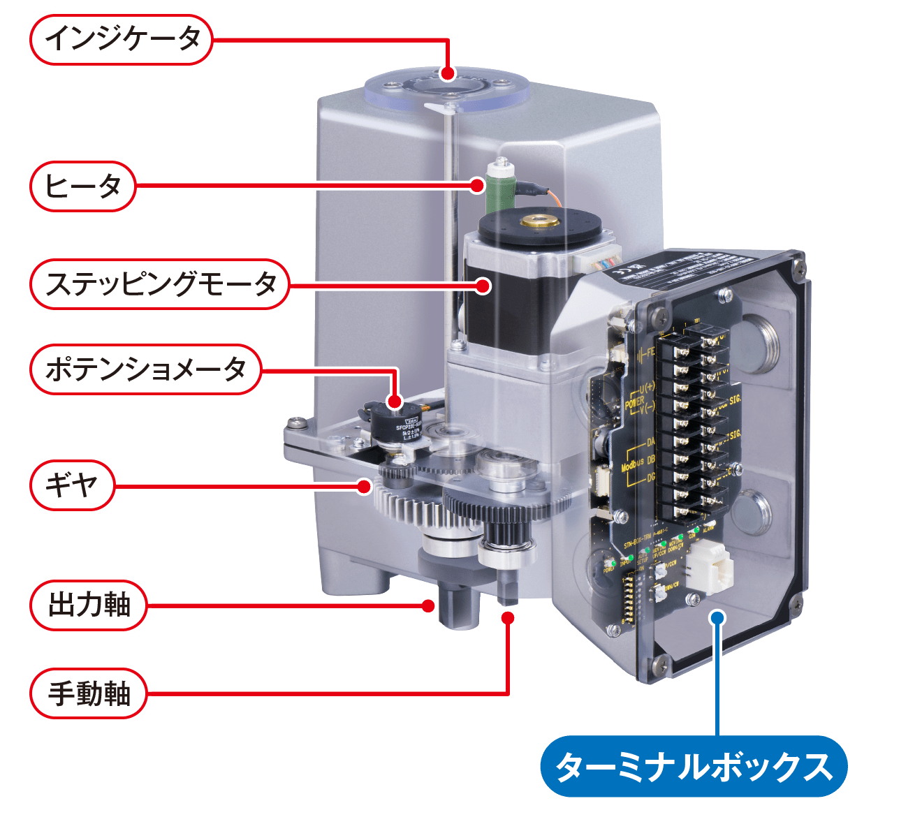 MRP10 透過図