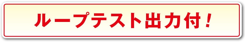 ループテスト出力付！